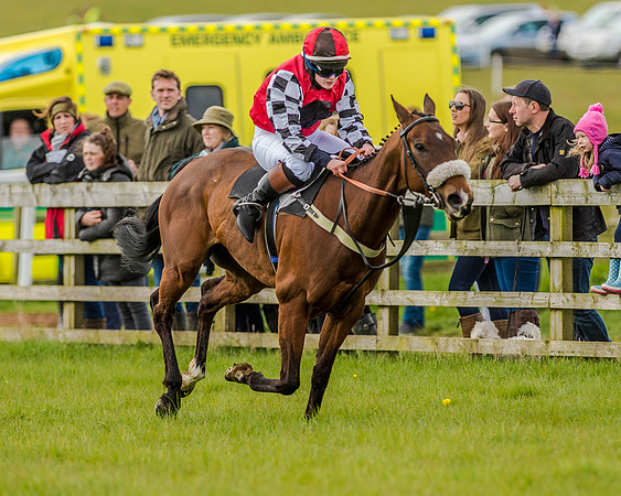 Pony Race 3 (35 of 78).jpg