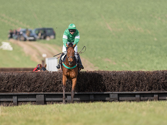 Race 2 - Confined Hunts Race (50 of 87).jpg