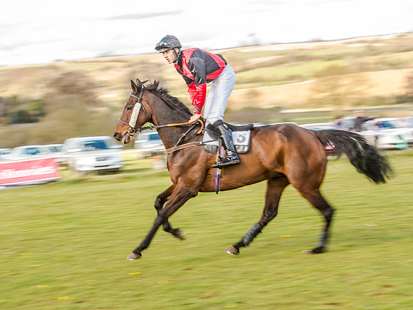 Race 6 - The Restricted Race [Nov-Vet] (24 of 84).jpg