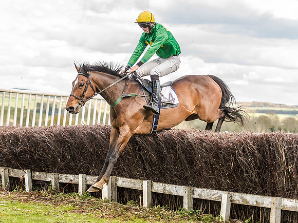 Race 5 - Mens Open [Nov-Vet] (68 of 68).jpg