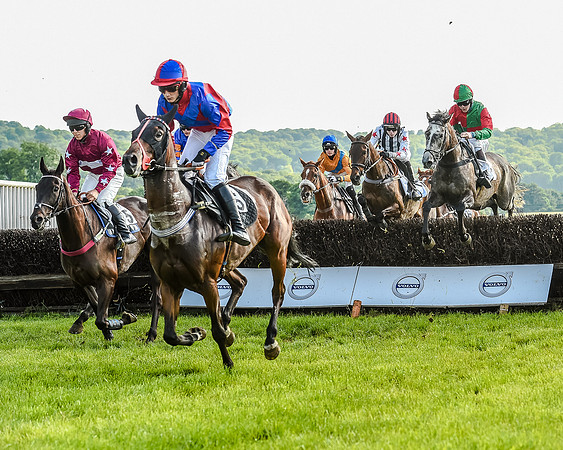 Race 7 - Div 1 - Open Maiden (38 of 94).jpg