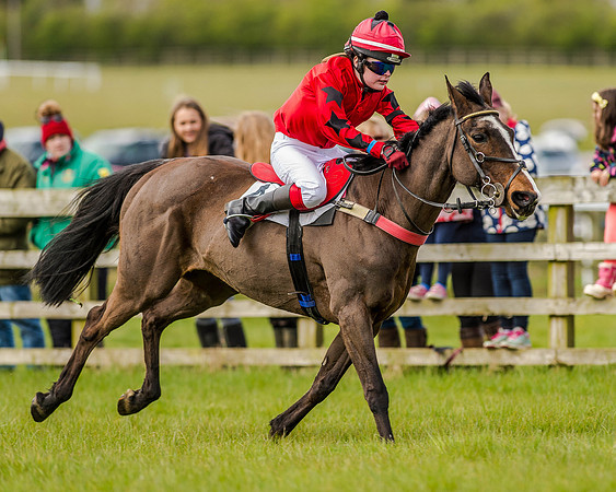 Pony Race 2 (44 of 77).jpg