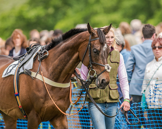 Race 2 - PPORA Members Novice Riders  (4 of 112).jpg