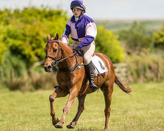 Pony Race 2  (28 of 33).jpg