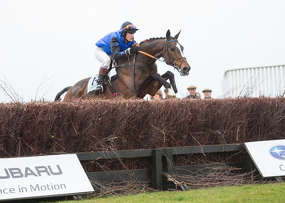 Race 7 - PPORA Novice Riders-59
