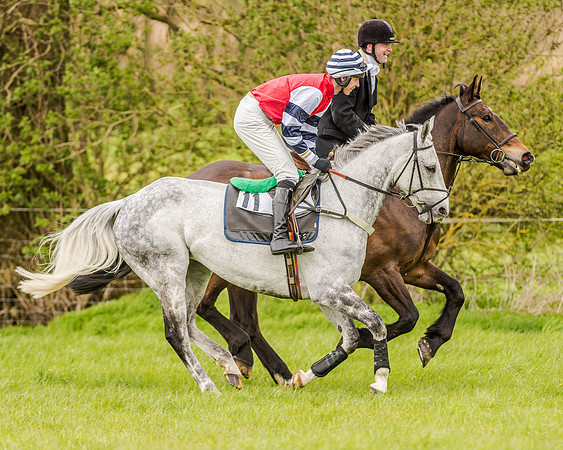 Race 2 - Open Maiden  (42 of 170).jpg
