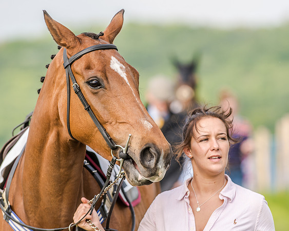 Race 7 - Div 2 - Open Maiden (24 of 163).jpg