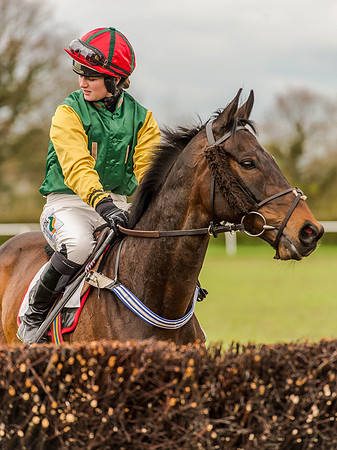 Race 1 - Confined Hunts (45 of 118).jpg