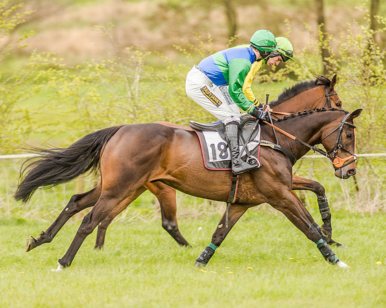 Race 2 - Open Maiden  (58 of 170).jpg