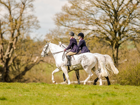 Pony Races (43 of 127).jpg