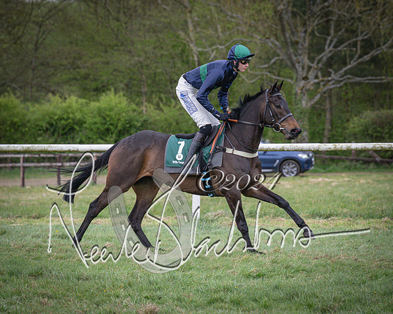 Race 7 - The Jockey Club maiden race for Mares and Fillies only (3 of 96)