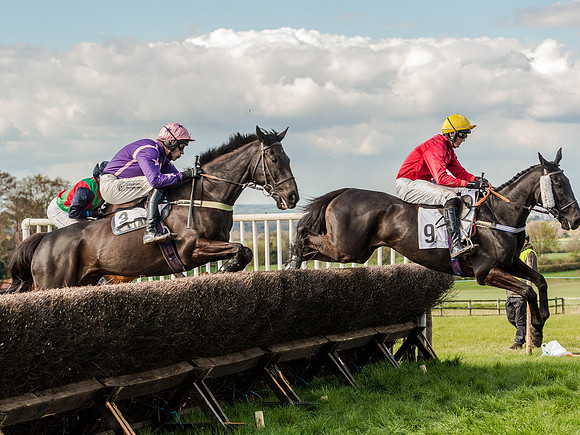 Race 5 - The Southern Grand national (26 of 96).jpg