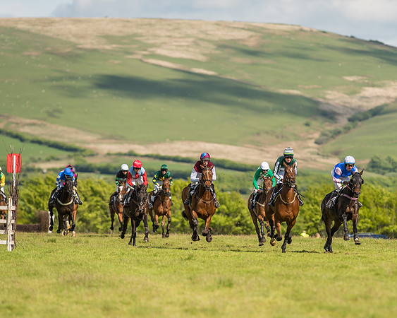 Race 6 - Open Maiden Race (33 of 71).jpg