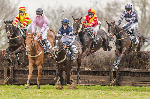Race 5 - Open Maiden Division 1  (30 of 90).jpg