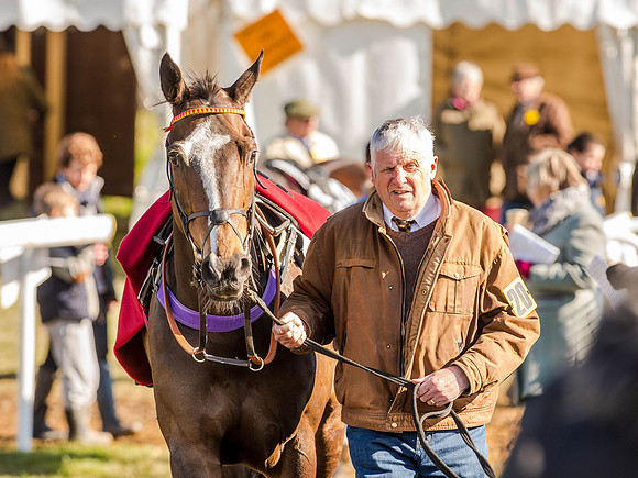 Race 6 - The Open Maiden (11 of 122).jpg