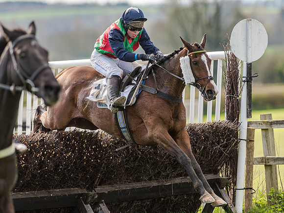 Race 5 - The Southern Grand national (65 of 96).jpg