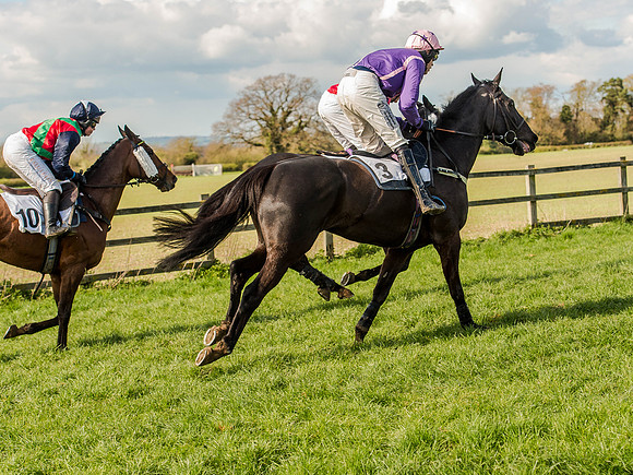 Race 5 - The Southern Grand national (39 of 96).jpg