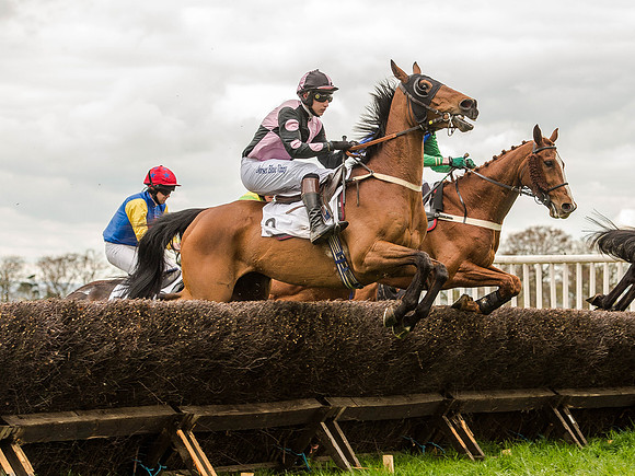 Race 2 - PPORA Club Members Conditions 2m5f (56 of 137).jpg