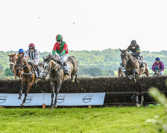 Race 7 - Div 1 - Open Maiden (40 of 94)-2.jpg