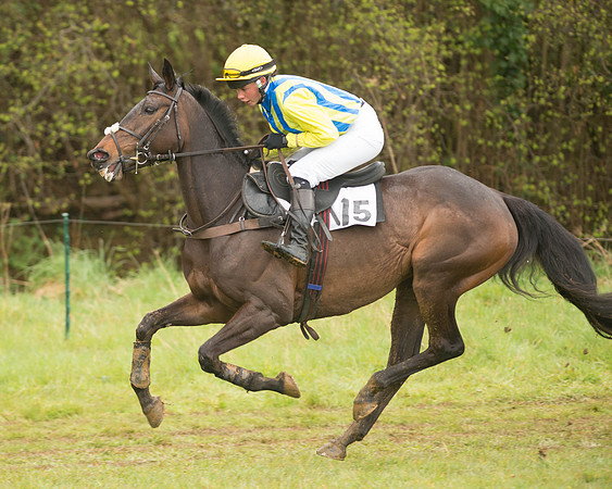 Race 5 - Open Maiden (46 of 147).jpg