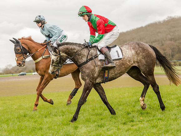 Race 3 - Young Horse maiden 2m5f (53 of 124).jpg