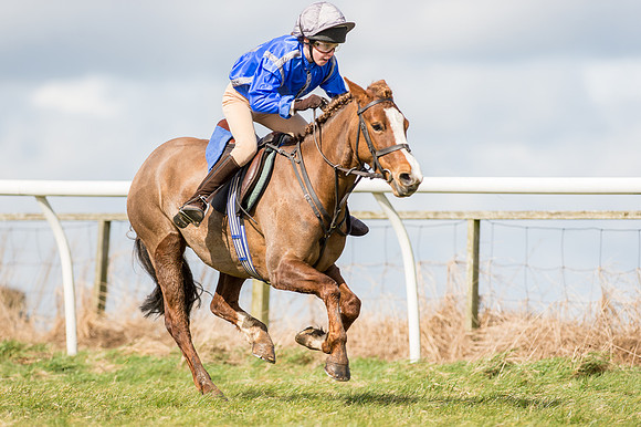 Pony Race 1 - 138cm  (43 of 57).jpg