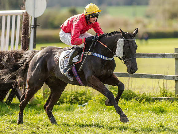 Race 5 - The Southern Grand national (57 of 96).jpg
