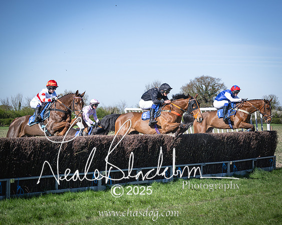Race 6 - Veteran horse (57 of 109)