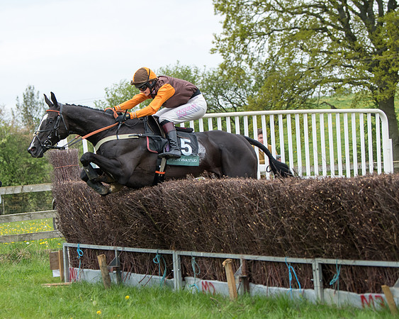 Race 3 - Warwickshire Hunt Members (30 of 65)