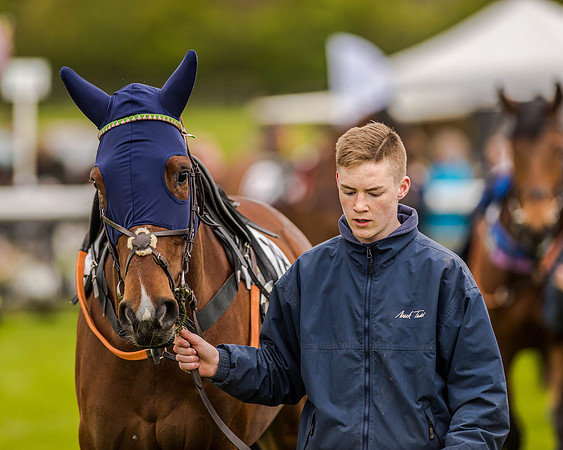 Race 2 - Open Maiden  (30 of 170).jpg