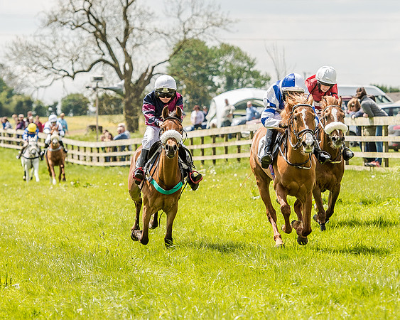 Pony Race 2 (49 of 57).jpg
