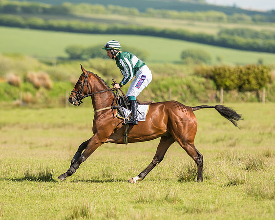 Race 6 - Open Maiden Race (12 of 71).jpg
