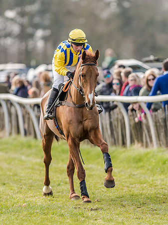 Race 4 - PPORA Club Members for Novice Riders (34 of 131).jpg