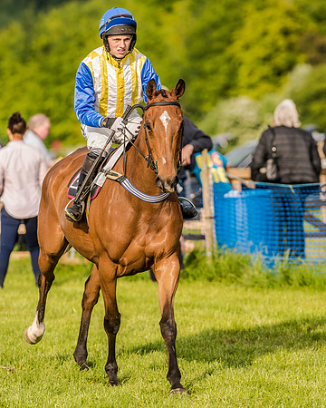 Race 7 - Div 2 - Open Maiden (59 of 163).jpg