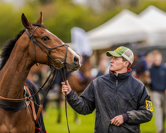 Race 2 - Open Maiden  (27 of 170).jpg