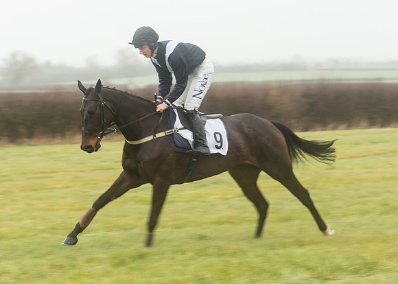 Race 1 - Confined Hunts (29 of 101).jpg