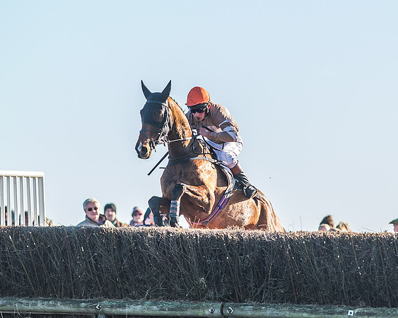 Race 1 - PPORA Novice Riders Race-60