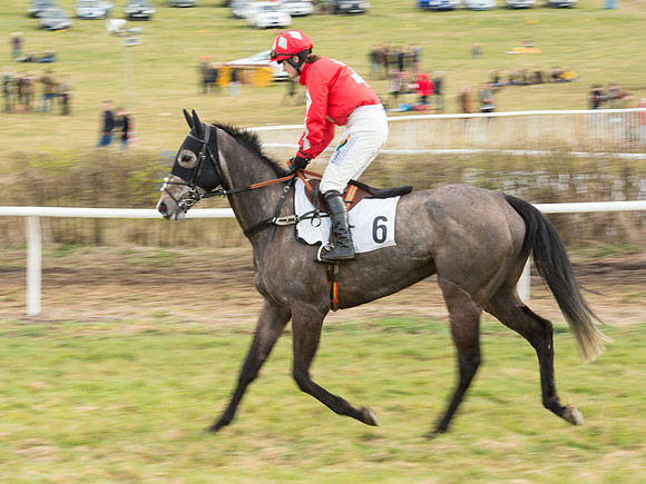 Race 6 - Open Maiden (21 of 110).jpg