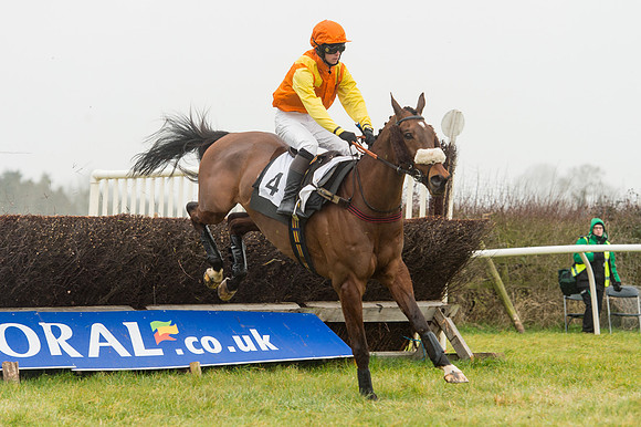 Race 1 - Confined Hunts (51 of 101).jpg
