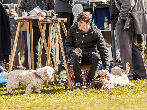 Race 6 - The Restricted Race [Nov-Vet] (23 of 84).jpg