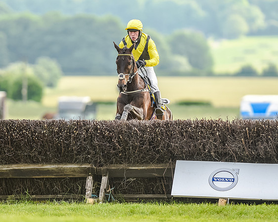 Race 7 - Div 2 - Open Maiden (115 of 163).jpg