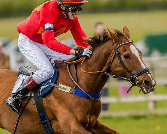 Pony Race 3 (62 of 78).jpg