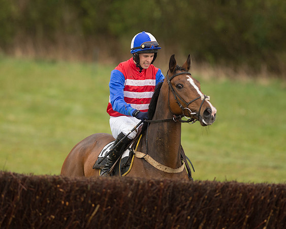 Race 5 - Open Maiden (68 of 147).jpg