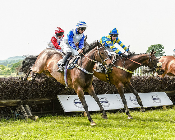 Race 2 - PPORA Members Novice Riders  (64 of 112).jpg