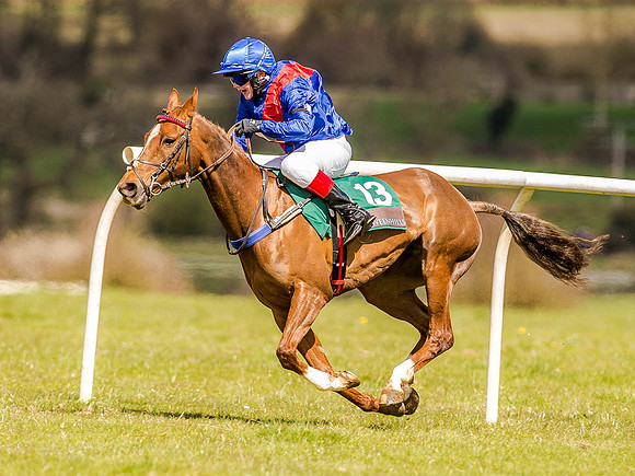 Pony Races (65 of 127).jpg