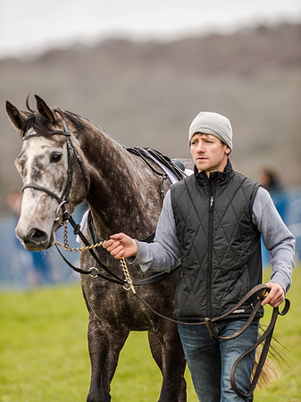 Race 3 - Young Horse maiden 2m5f (19 of 124).jpg