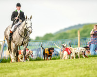 Hound Race