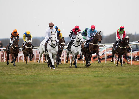 Race 6 - Confined Hunts-57