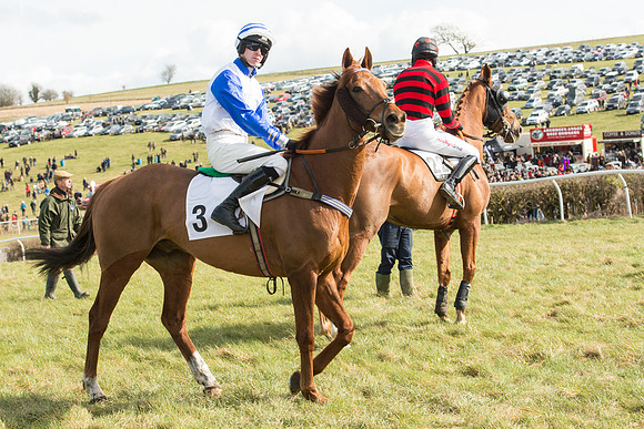 Race 2 - Confined Hunts Race (26 of 87).jpg