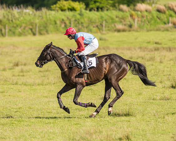 Race 6 - Open Maiden Race (27 of 71).jpg